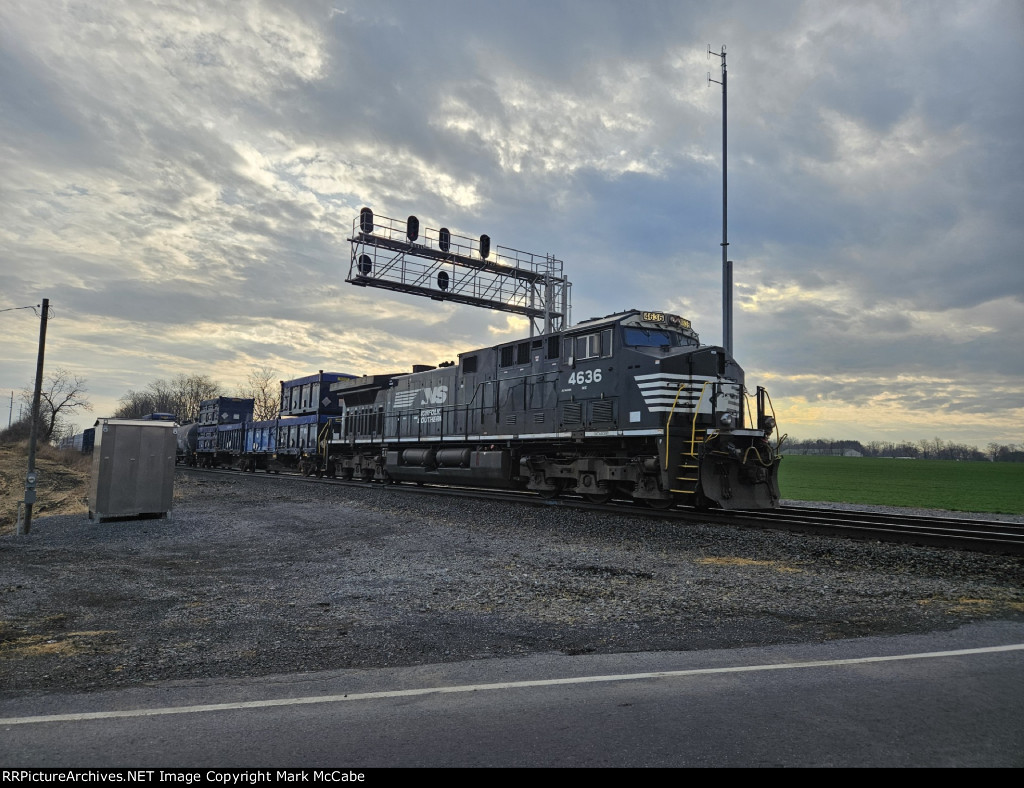 NS 10K